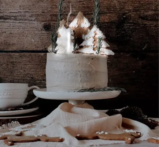 Spiced French Hot Cocoa Cake and Gingerbread Buttercream
